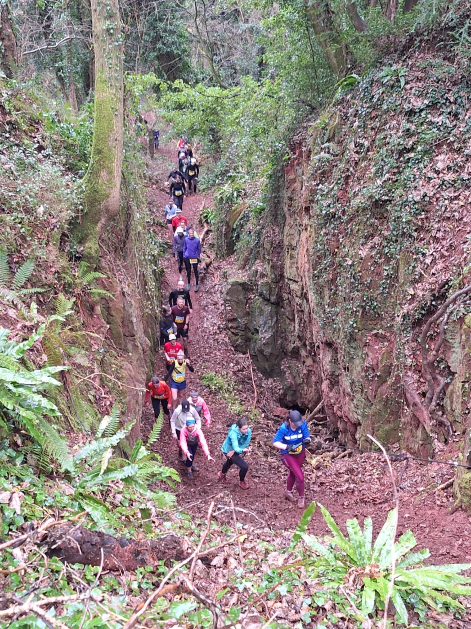 IRONWOOD ENTRIES NOW OPEN